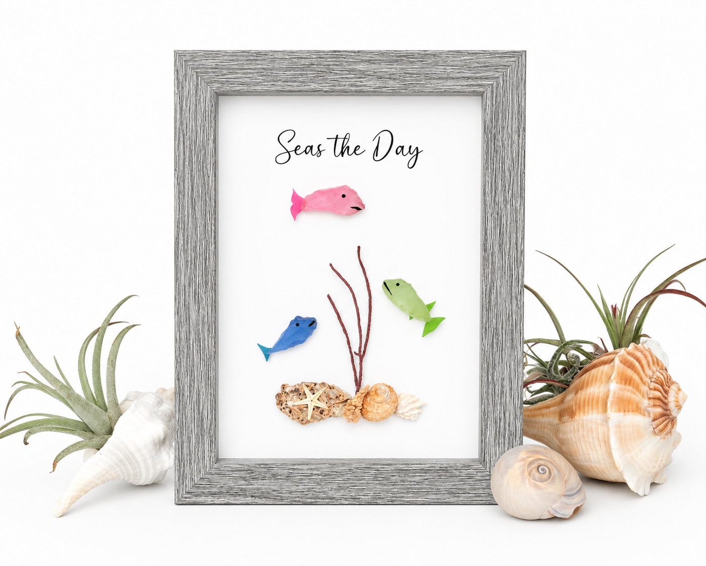 Seas The Day #319