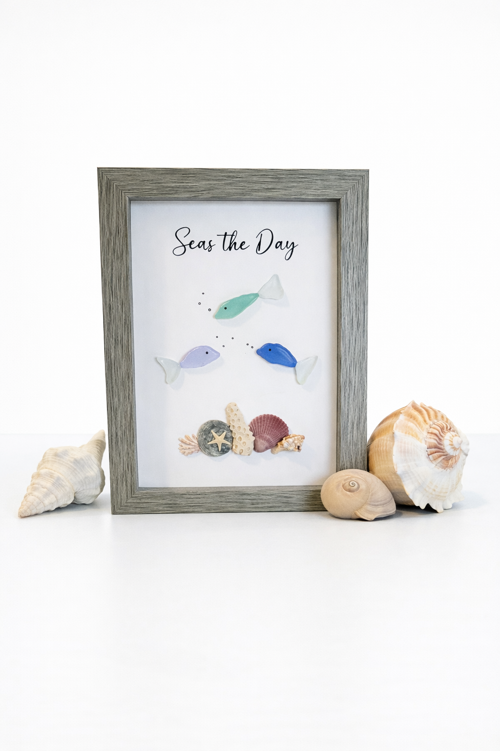 Seas The Day #359